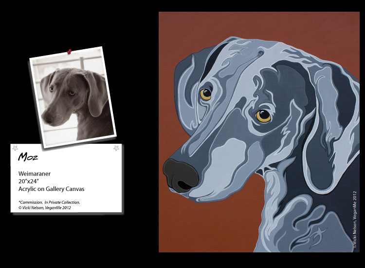 Moz the Weimaraner Dog Portrait