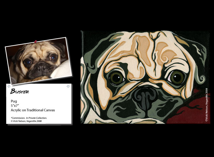 Buster the Pug dog portrait