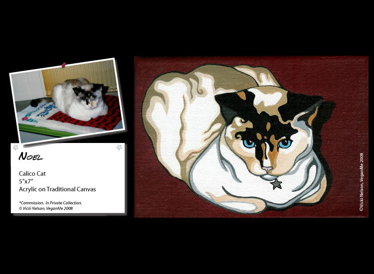 Noel the Calico cat portrait