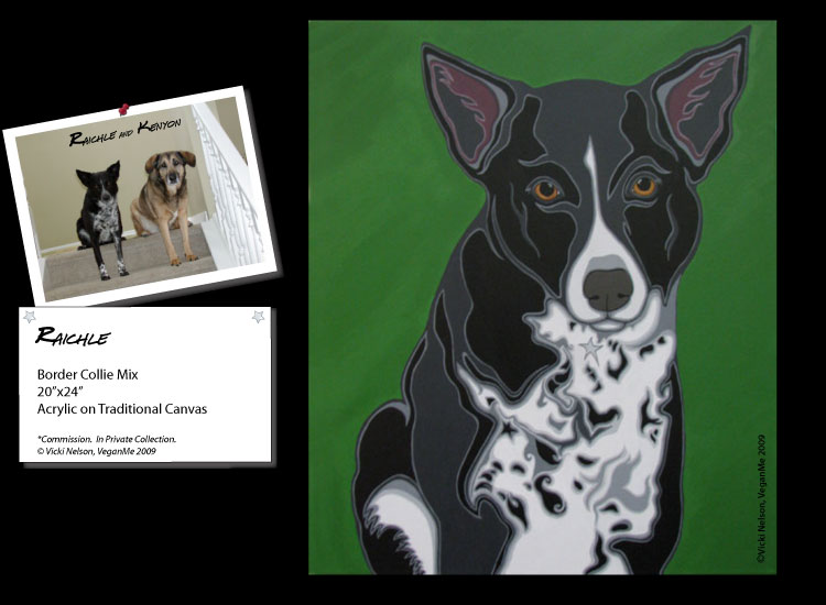 Raichle the Border Collie mix dog portrait