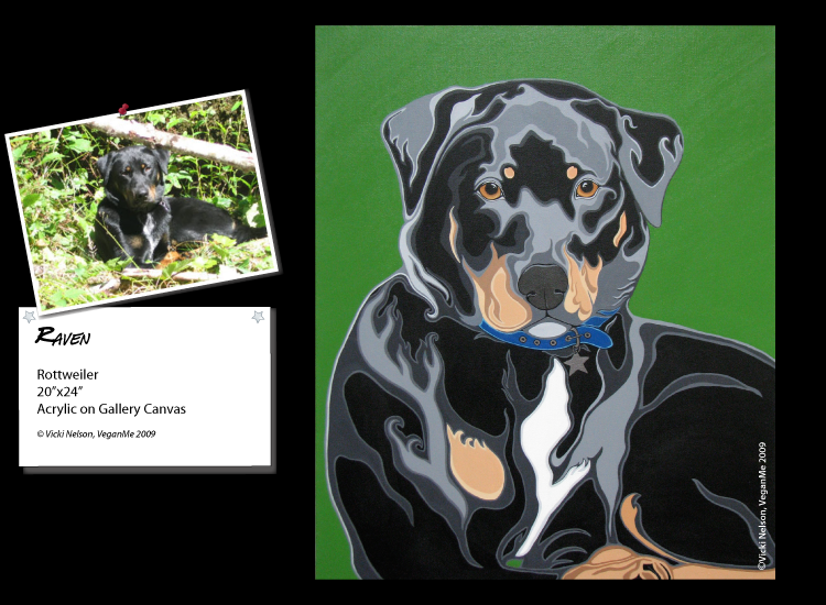 Raven the Rottweiler mix dog portrait